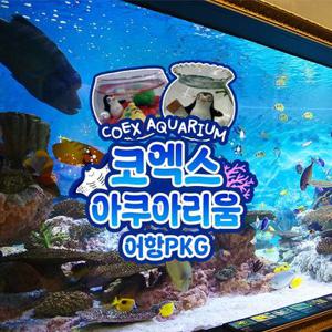 [서울/삼성] 씨라이프 코엑스아쿠아리움+젤리 어항 만들기 체험 PKG
