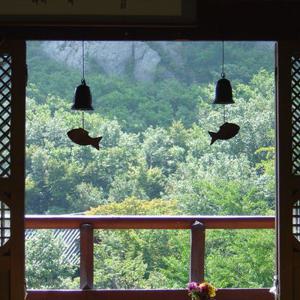 [당일여행] 고성 해파랑길 (설악산 화암사 숲길, 능파대, 아야진 해변, 화진포의 성)