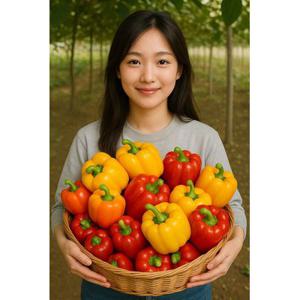 못난이 미니 삼색 파프리카 1kg 5kg