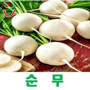 (희귀씨앗) 순무 브라시카 라파 씨앗 50립