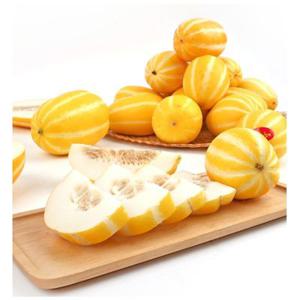 고당도 성주 참외 못난이 꿀 가정용 혼합과 10kg