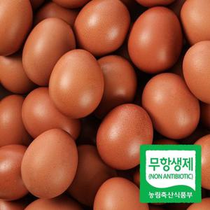 무항생제구운계란 대란30구+30구 맥반석계란 청라상회계란