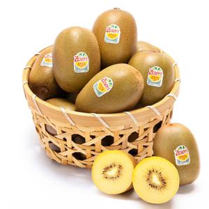 제스프리 새콤한 썬 골드키위 특대과 1.4kg