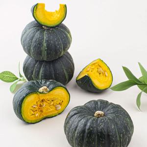 제주빛 미니 밤호박 보우짱 특품 2kg/4kg