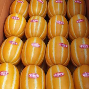 성주 달콤한 참외 정품 2kg (소과/중소과/중과/대과)