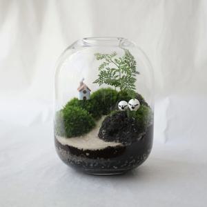 이끼 숲 테라리움 D TYPE 테라리움 DIY 키트 비단이끼 키우기