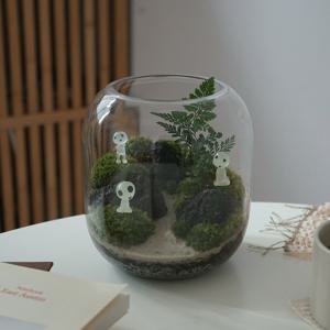 이끼 숲 테라리움 E TYPE 테라리움 DIY 키트 비단이끼 키우기