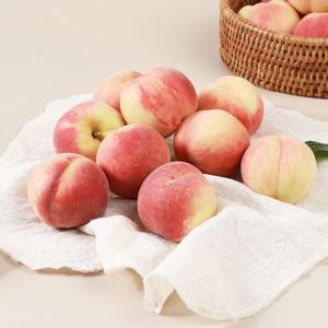 국내산 반납작복숭아(대극천) 1kg(소과/10-13과)