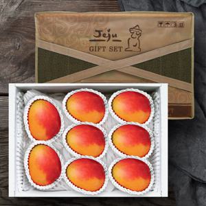 제주 애플망고 7~8과(특대) 선물세트 3kg/제주직송