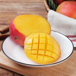 제주 애플망고 7~8과(특대) 3kg