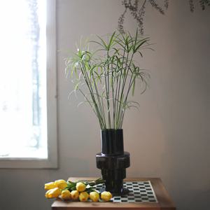 시페루스 블랙탑(Cyperus Black Top) 수경 재배 화병