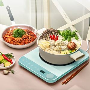 1구 슬림 전기레인지 인덕션 민트 SHL-N4949MT