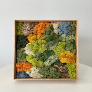 스칸디아모스 작은산 - 오렌지 / 이끼액자 인테리어액자 공기정화식물