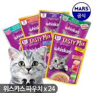 위스카스 고양이주식 파우치 80g x24개