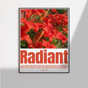 Radiant 인테리어 포스터 미드센추리 그림액자 홈꾸미기