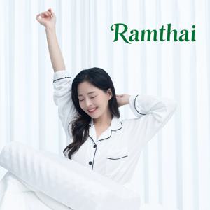 가성비 기본커버포함 프리미엄 태국 라텍스 경추베개 높은베개