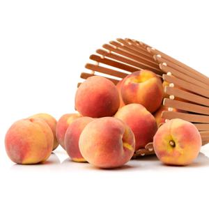 과즙 팡팡 황도/백도 랜덤 발송 털 복숭아 1.5kg (6-9과) 개당 170-250g