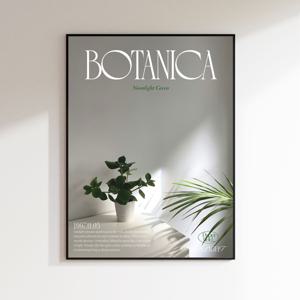 Botanica 식물인테리어 미드센추리 모던 미니멀 그림액자 인테리어포스터