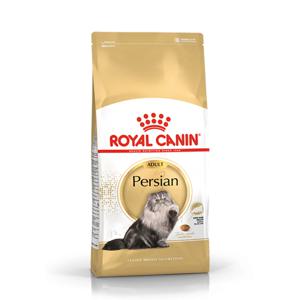 페르시안 어덜트 2kg