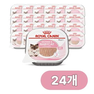캣 마더 앤 베이비 무스 트레이 100g x 24개