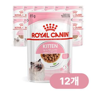 캣 키튼 그레이비 파우치 85g x 12개