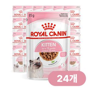 캣 키튼 그레이비 파우치 85g x 24개