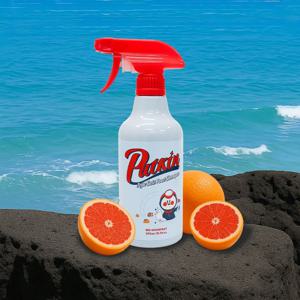 제주 솔트 풋샴푸 500ml (레드자몽향)