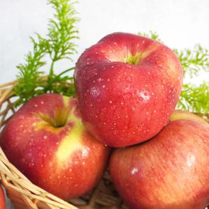 경북 홍로 사과 가정용 2kg 10-13과