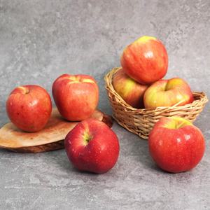 경북 홍로 사과 가정용 3kg 10-14과
