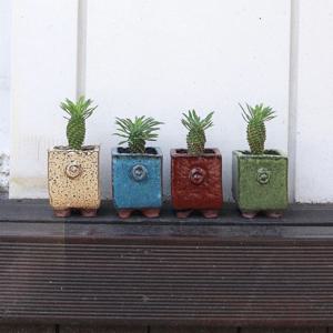 파인애플 선인장 괴마옥과 미니 빈티지 화분_4color