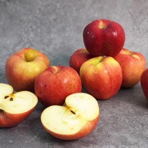 경북 홍로 알뜰 꿀사과 3kg 10-14과