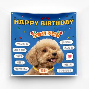 강아지 애견 생일 현수막 이벤트 예쁜 플랜카드 제작 ver 매력뿅뿅