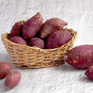 전남 영암 호풍미 호박고구마 5kg 한입 (50g내외)