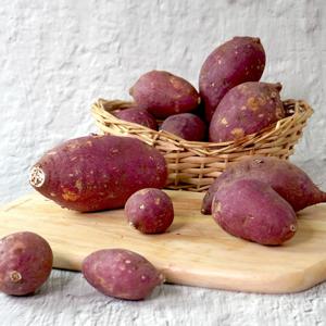 전남 영암 호풍미 호박고구마 3kg 중 (50-100g)