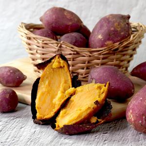 전남 영암 호풍미 호박고구마 2kg 특상 (100-300g)