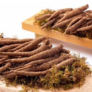 제주산 향긋한 흙더덕 2kg (실속)