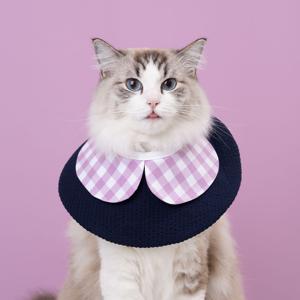 부티넥카라 꽃잎 국내생산 강아지 고양이 목쿠션 초경량 똑딱이
