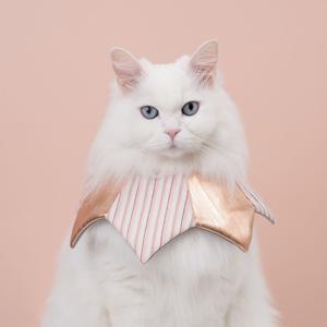 부티넥카라 삐에로 국내생산 강아지 고양이 목쿠션 초경량 똑딱이