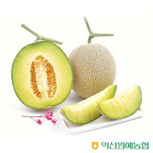 익산 당도선별 프리미엄 머스크멜론 선물세트 명절선물 선물용