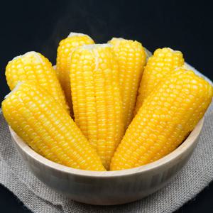 노랑이 찰옥수수 냉동 삶은 찐 옥수수 (원산지:중국)