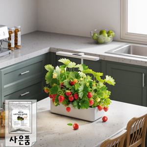 물만 주면 쑥쑥자라는 플랜티 식물재배기 아이와 함께 키워보세요
