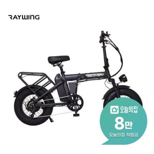 [렌탈] 디스커버리 MX 접이식 전동 팻바이크 48V A10 DX10