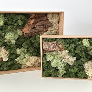 스칸디아모스 작은산 - 그린 / 이끼액자 인테리어액자 공기정화식물