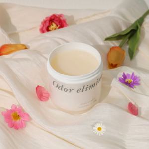 고체 실내 탈취제 화장실 옷장 집안 차량 냄새 제거 250g