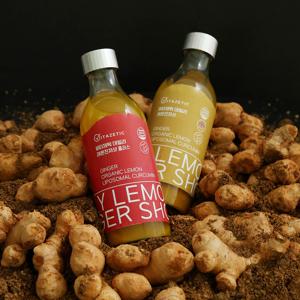비타제틱 데일리 레몬진저샷 플러스 250ml