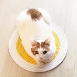 고양이 원형 카펫 스크래치 방지 패드 면 스크래처 매트 계란후라이