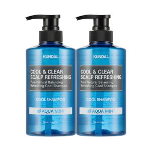 쿨 앤 클리어 스칼프 리프레싱 쿨 샴푸 아쿠아민트 500ml 2구