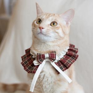스쿨룩 강아지 고양이 헤어핀 케이프세트 3colors