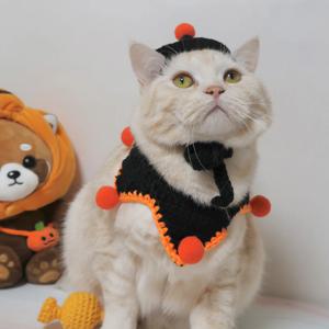 강아지 고양이 할로윈 위치 모자 케이프2종 SET