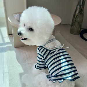 강아지옷 스트라이프 리본 긴소매 가을 강아지 티셔츠 오렌지 S